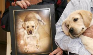 Ако не сте женени, нямате бебе и сте млад, снимка на четириногия ви приятел също ще свърши много добра работа.