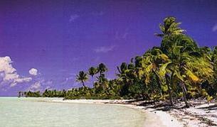 Строят хотел върху острова на Брандо