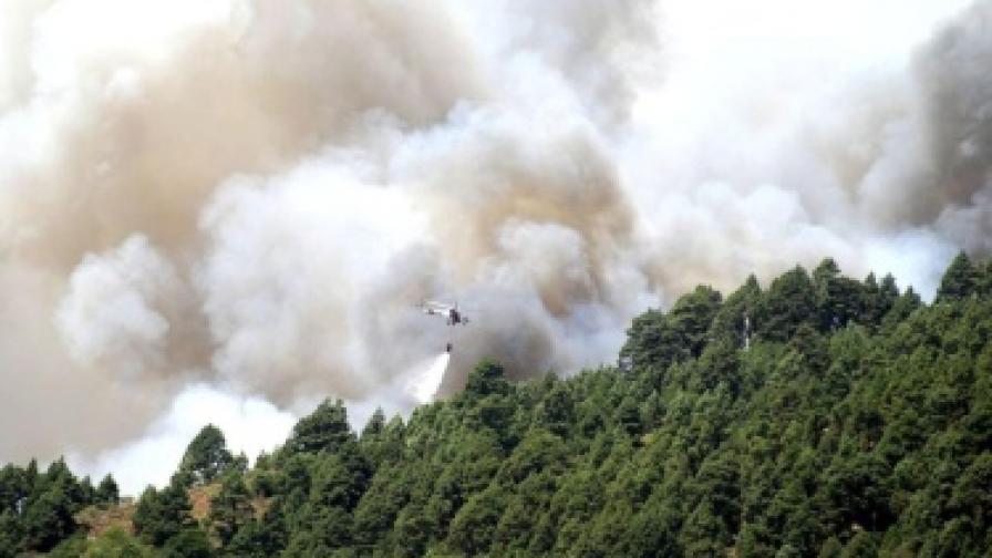 Евакуират 4000 заради пожар на о-в Ла Палма