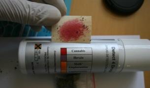 Откриха над тон канабис около Петрич и Струмяни