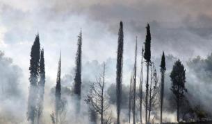 Гърция: Пожари заплашват и домове
