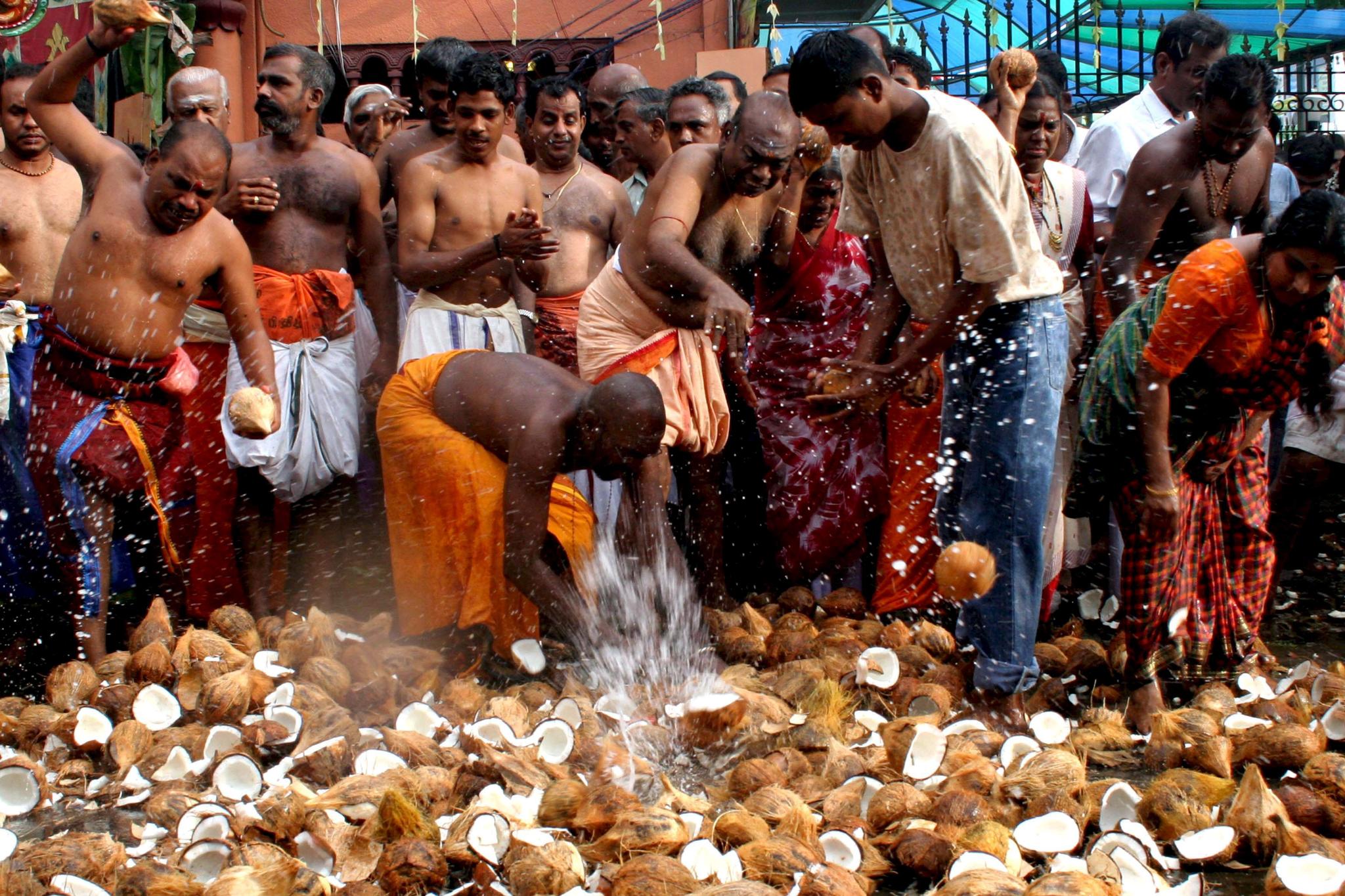 Награда за онзи, който изобрети берачка на кокосови орехи