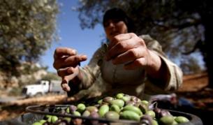 ЕК иска и от другите да връщат пари