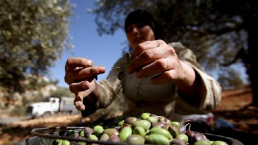 ЕК иска и от другите да връщат пари