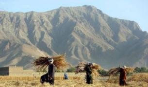 $83 млрд. годишно са нужни за изхранването на населението на света 