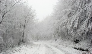 137 автомобила закъсаха в снега