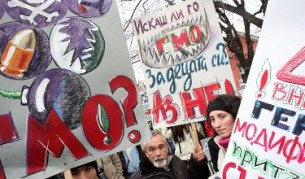 Майки и природозащитници поискаха България да е чиста от ГМО територия