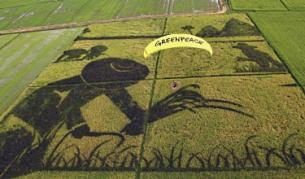 Акция на Грийнпийс срещу ГМО
