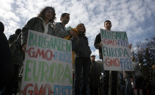 Първанов няма да пусне ГМО в България 