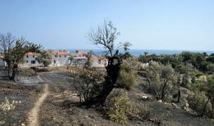 В началото на август голям горски пожар бушува в продължение на няколко дни на остров Самос. За него бяха обвинени трима овчари