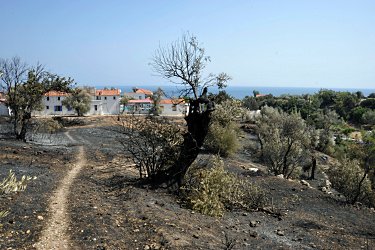 Българин запалил 16 пожара в Гърция