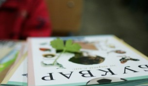 Тази година: Първокласниците - 61 хиляди