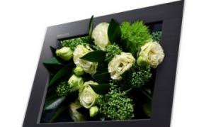 Излизат 3D телевизори без очила