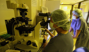 Шансовете с ин витро реални до третия път