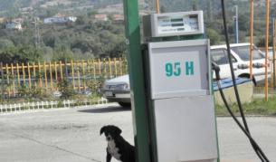 НАП вдига мерника на бензиностанциите