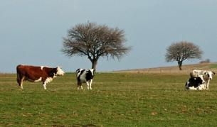 Евростат: С 23% растат доходите на земеделците в България