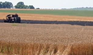 Има зърно до новата реколта