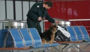 Забравен багаж вдигна на крак полиция и охрана на софийското летище