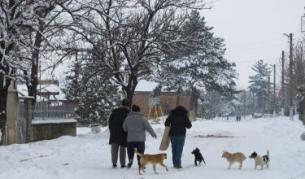 През 2060 г. може и да няма селско население