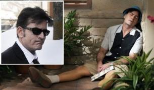 "Двама мъже и половина" спрян заради Шийн