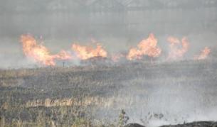 Над 100 пожара само до обед, загина жена