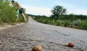 От 6 на 15 евро се е вдигнала цената за килограм охлюви