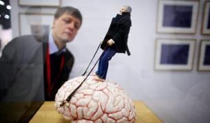 Съвременните хора - по-ниски и с по-малки мозъци