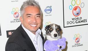 Говорещия с кучета идва на Балканите