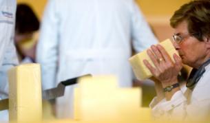 Над 2 тона млечни продукти конфискуваха в Пловдив 