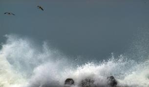 Награждават морски спасители