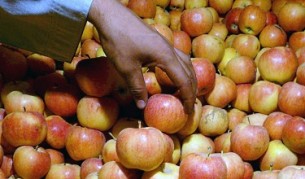 10-те големи случайни открития, част 1