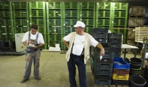 Работодателите у нас - оптимисти