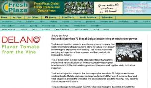 Freshplaza.com: Над 70 българи нелегално отглеждат гъби