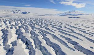 Учените ни ще изследват влиянието на климатичните промени върху обитателите на Антарктида