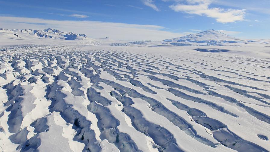 Учените ни ще изследват влиянието на климатичните промени върху обитателите на Антарктида