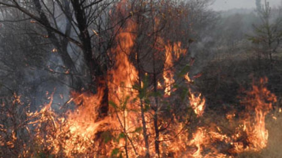 Големи пожари горят на три места в България