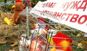 ЕС разследва "нелегалните кокошки" 