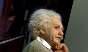 Мозъци, вкл. от Айнщайн, на изложба