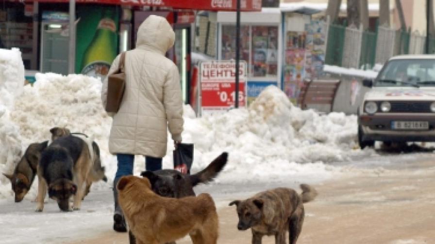 Фандъкова: Няма да отстъпя за агресивните кучета