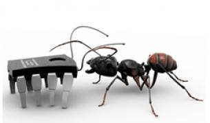 Фест на науката - в шатрите в Парк "Заимов"