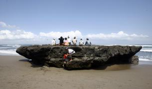 В. "Монд": Крахът на зелената икономика 