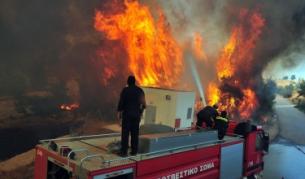 Пожарникари се борят с бедствието на п-в Пелопонес в Гърция