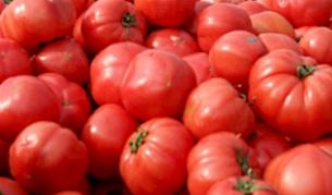 Възможна е "доматена война" между Мексико и САЩ