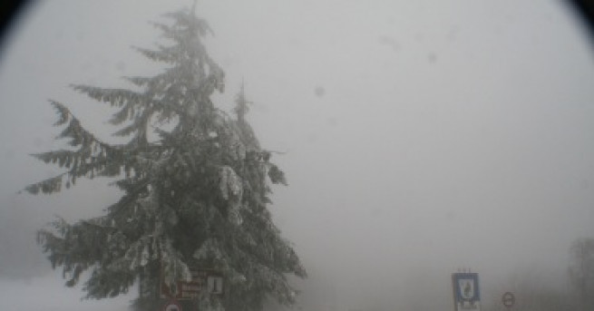 Жълт код за опасно силен вятър днес обяви НИМХ за