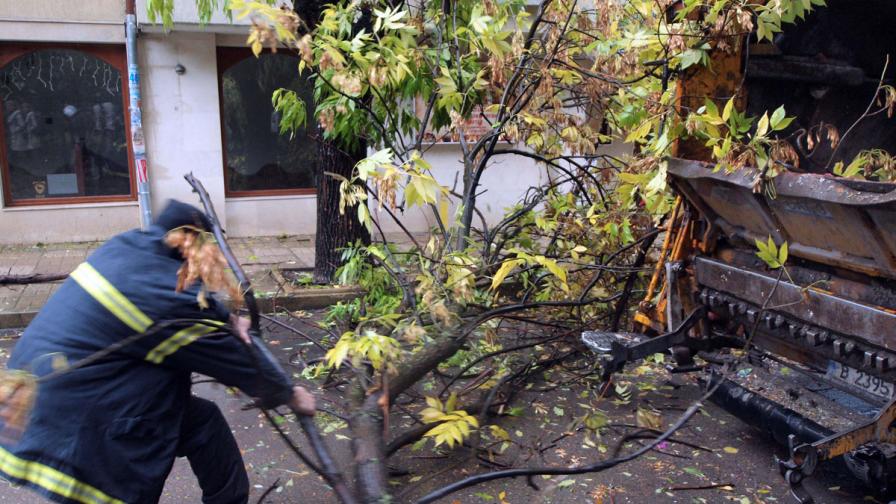 Бедствено положение и една загинала от вятъра в Габрово