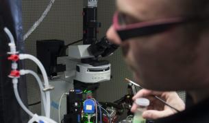 Откриха зона в мозъка, свързана с възприемането на нови идеи