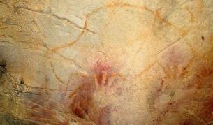 Пещерните хора са се дрогирали с растения