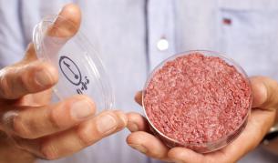 Бургер от стволови клетки?