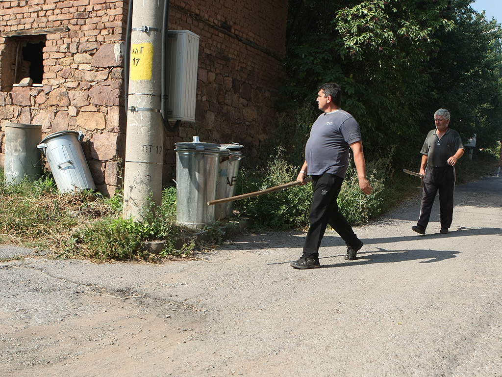 Голяма територия борова гора гори в района между селата Локорско, Войняговци и Челопечене, съобщи МВР. Сигналът е подаден в 12.40 часа.