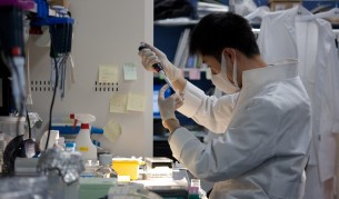 Родиха се мишлета, заченати със замразена тъкан от тестис